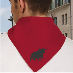 Pañuelo cuadrado Fiesta