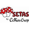 Setas Cotton crop